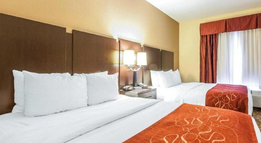 Comfort Suites Rome Ngoại thất bức ảnh